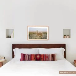 Atacama Desert -Home Sale Shop Art Images Size Labels.013