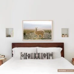 Atacama Desert -Home Sale Shop Art Images Size Labels.014