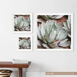 Jardin 14 Jardin -Home Sale Shop Art Images Size Labels.097