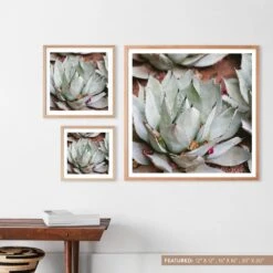 Jardin 18 Jardin -Home Sale Shop Art Images Size Labels.098