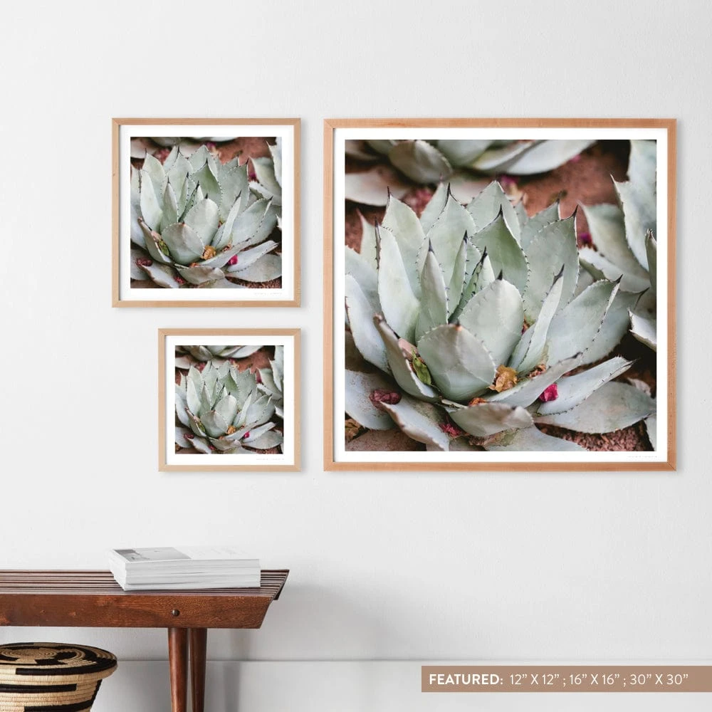 Jardin 10 Jardin - Image 8