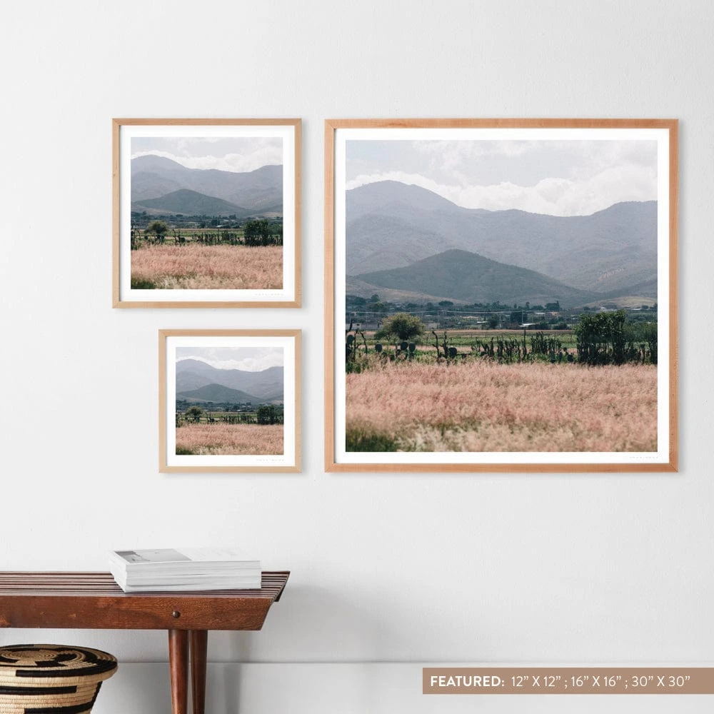 Oaxaca .02 10 Oaxaca .02 - Image 8