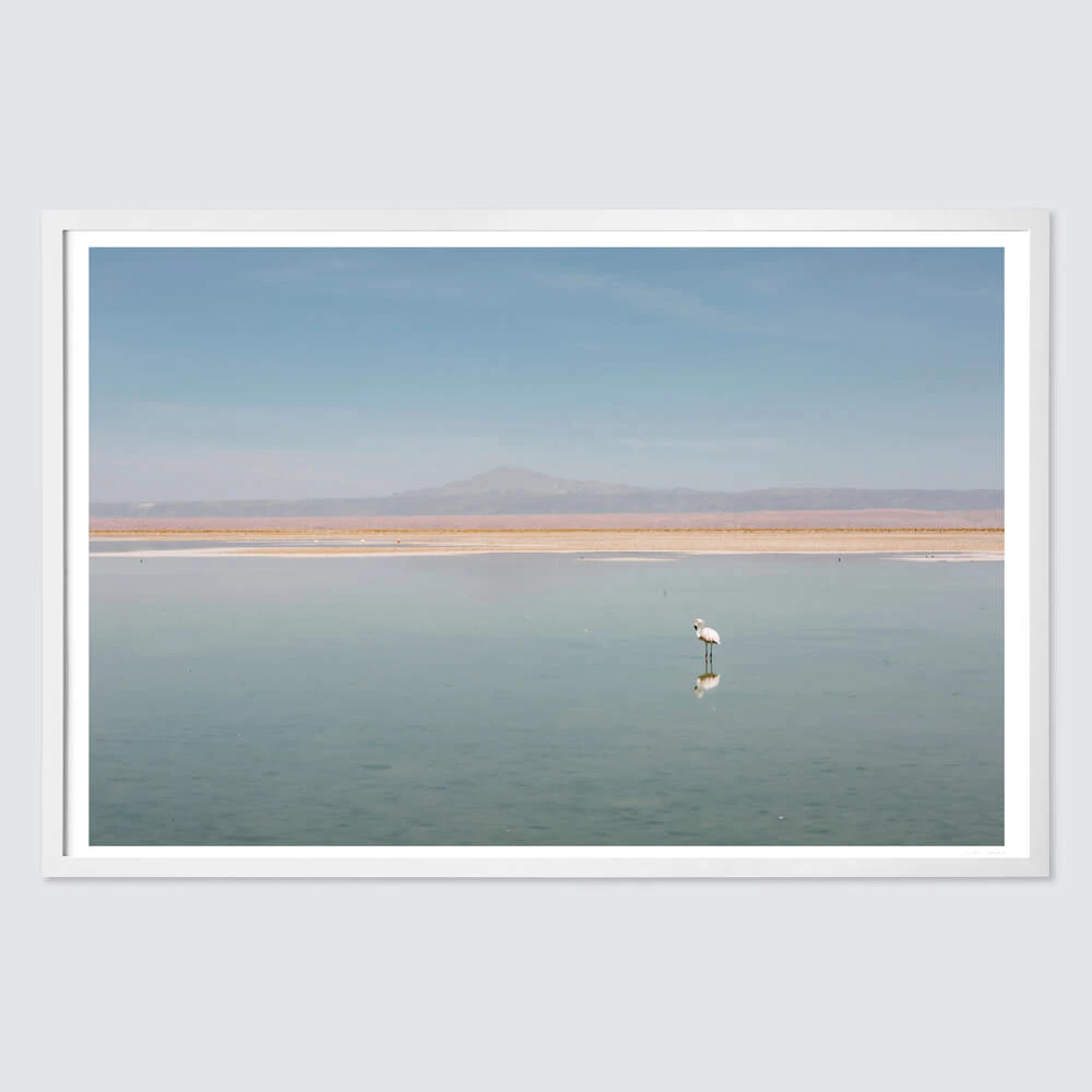 El Flamenco 4 El Flamenco - Image 2