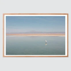 El Flamenco 16 El Flamenco -Home Sale Shop El Flamenco Art Print.005