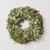 Fresh Eucalyptus Wreath 2 Fresh Eucalyptus Wreath -Home Sale Shop Fresh Eucalyptus Wreath 1