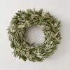 Fresh Olive And Dried Floral Wreath 2 Fresh Olive And Dried Floral Wreath -Home Sale Shop Fresh Olive and Dried Floral Wreath Medium 1
