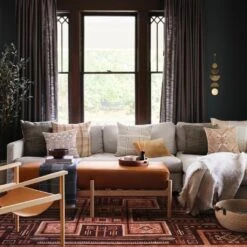 Jagriti Hand-Knotted Area Rug 24 Jagriti Hand-Knotted Area Rug -Home Sale Shop Jagriti Area Rug Rust 5