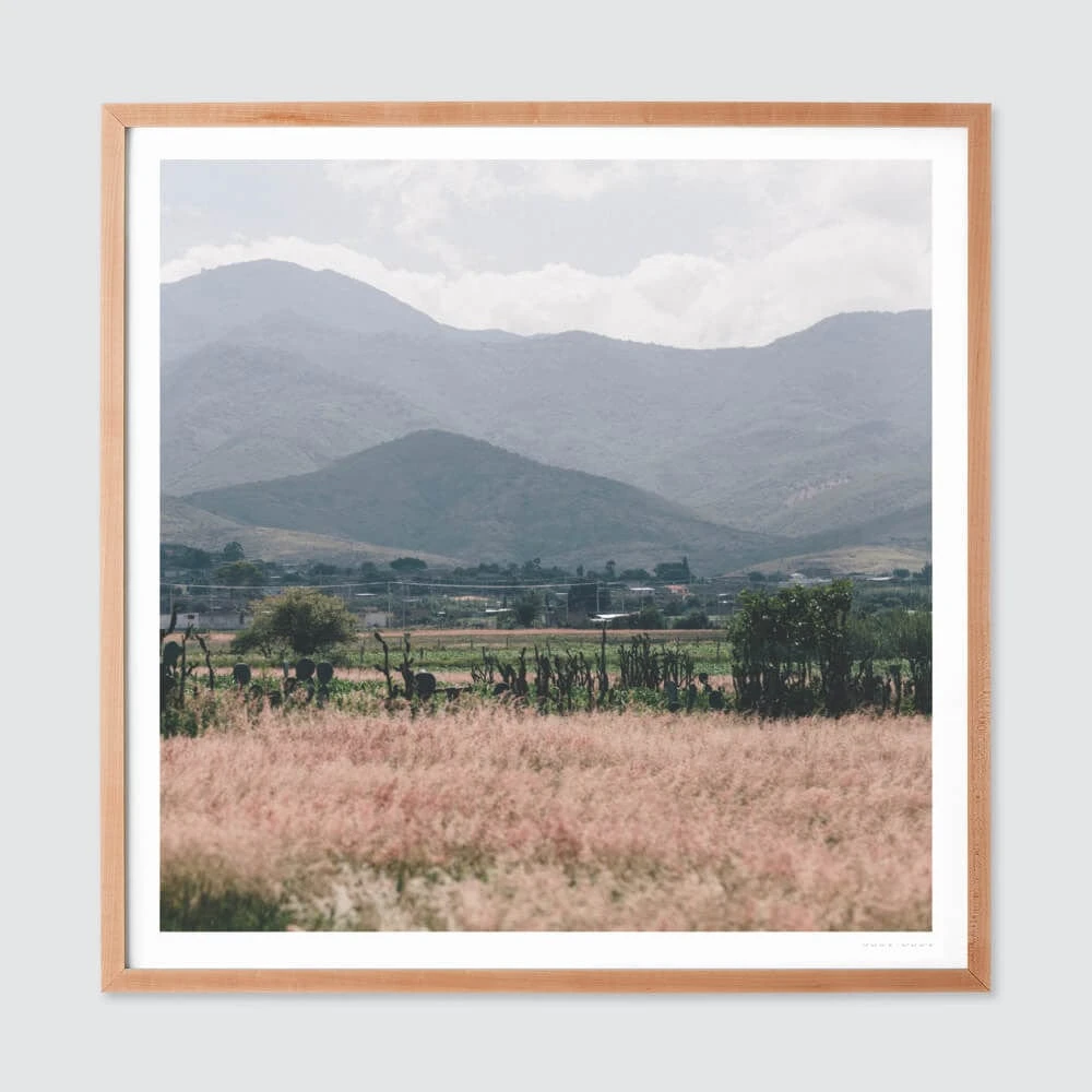 Oaxaca .02 8 Oaxaca .02 - Image 6